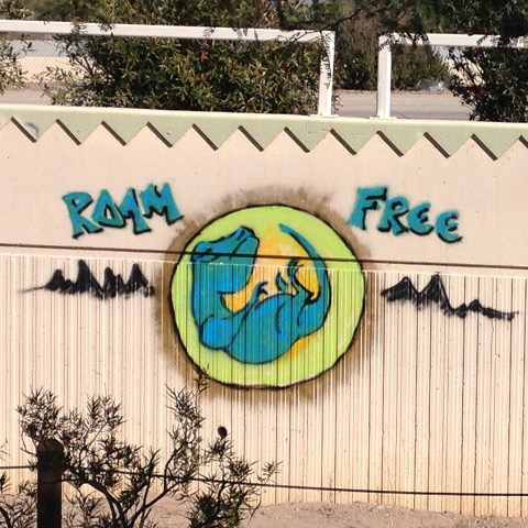 Roam Free grafitti in Tucson