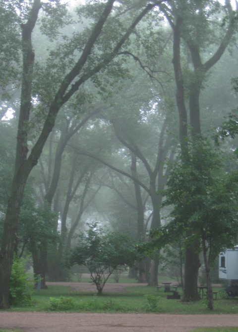 Misty trees in Johnson Lake campground, Nebraska