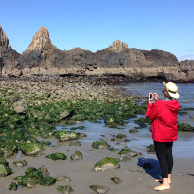 Sea stacks at Seal Rock State Recreation Area, south of Newport