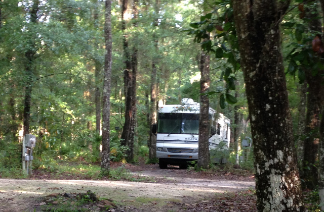 RV site at Native Woods in Darien, GA