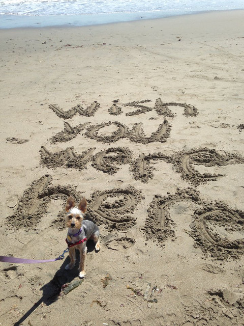 Peanute and sand writing at Seacliff State Beach