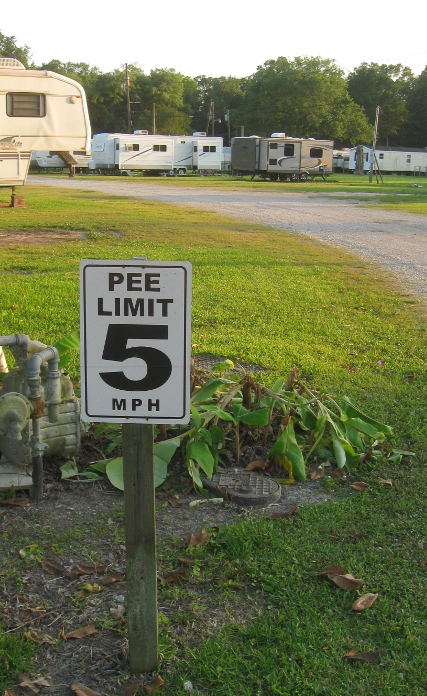 Humorous speed limit sign, New Orleans