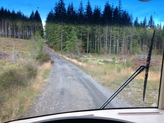 Dirt road in hills above Estacada, Oregon