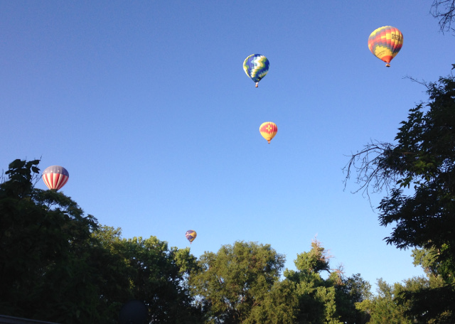 Hot air balloons, Albuquerque, New Mexico
