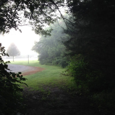 Foggy morning in Prairie Haven